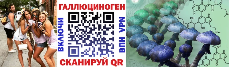 Галлюциногенные грибы Psilocybe  Талица 